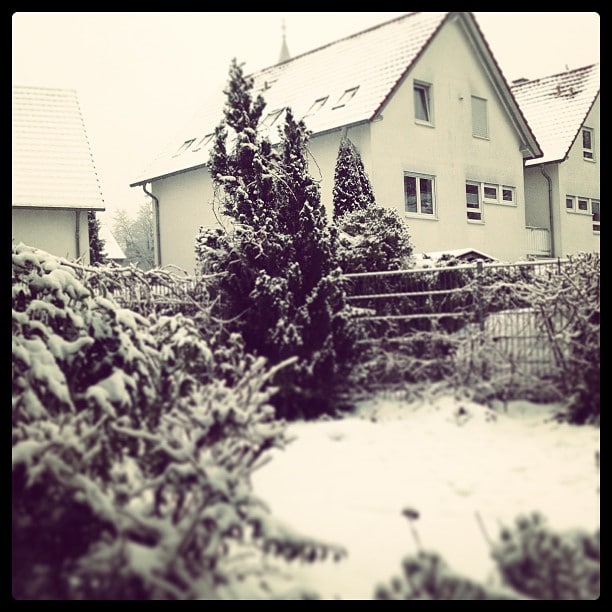 ¡Snow!