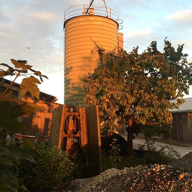 Silo #Stuttgart #hohenheim