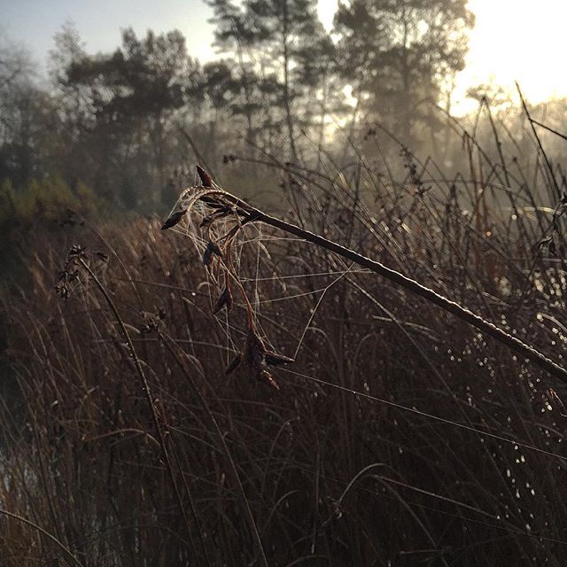 Web #stuttgart #universityofhohenheim