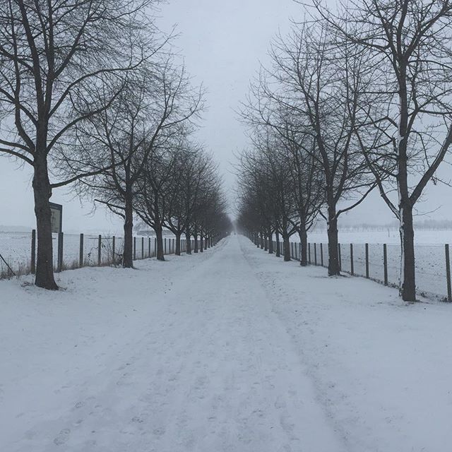 White alley #stuttgart #hohenheim #snow #winter