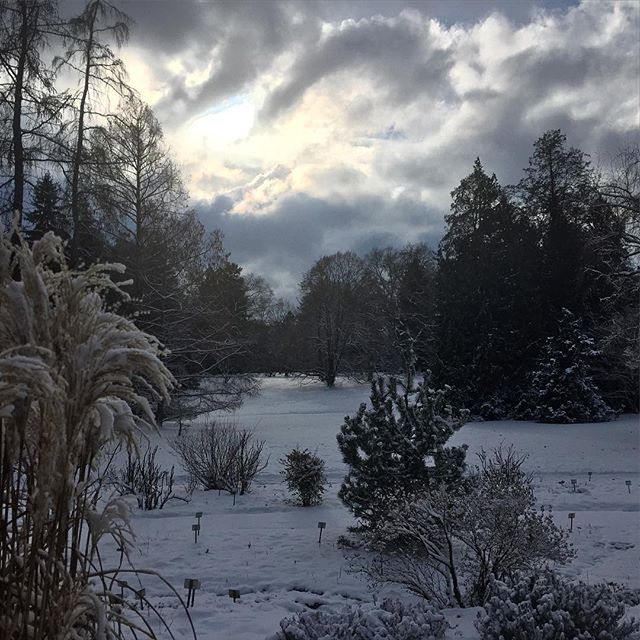 Fridge #hohenheim #stuttgart #winter #snow