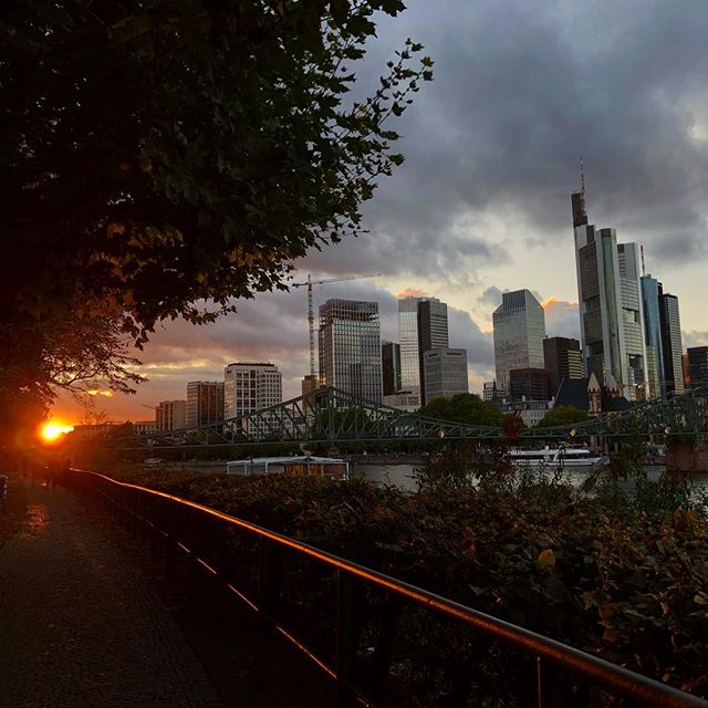 Down by the river #frankfurt #skyline