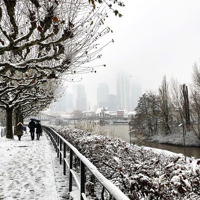 Hibernal #frankfurt #snow